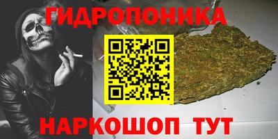 apvp Кудрово